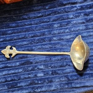 Elegant Silver Ladle